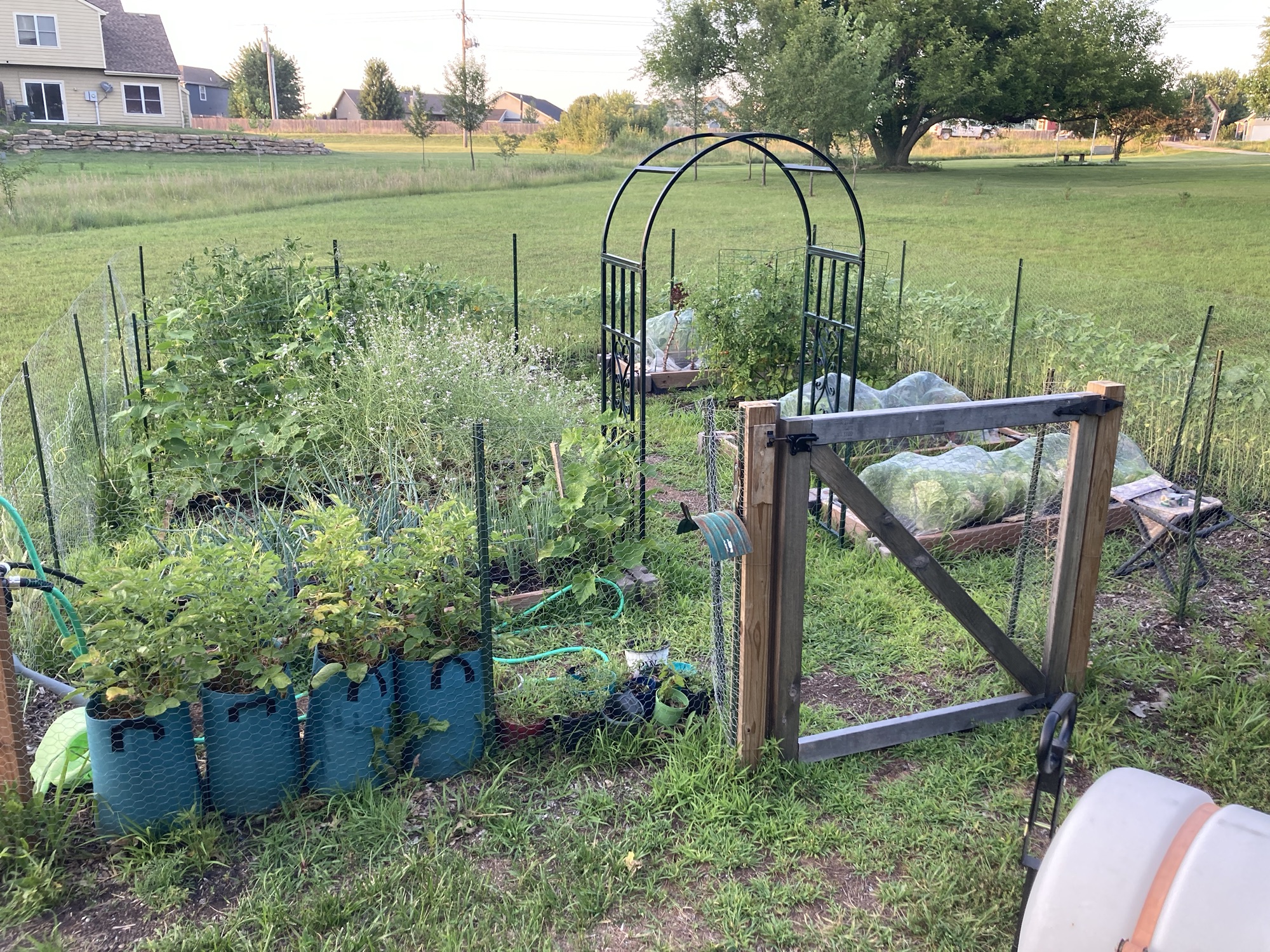 Garden Highlights from 2022 and 2023